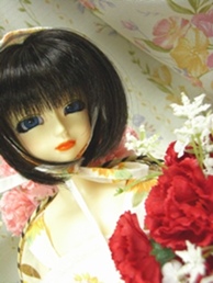 ց@vtB[ʐ^W